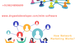 What is MLM Software?