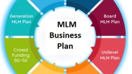 mlm business in ahmedabad