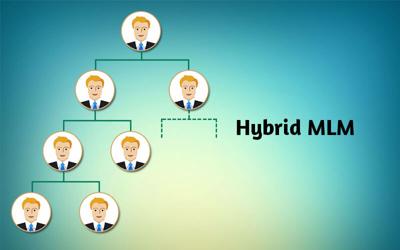 Hybrid MLM compensation plan