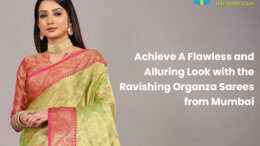 Achieve A Flawless and Alluring Look with the Ravishing Organza Sarees from Mumbai