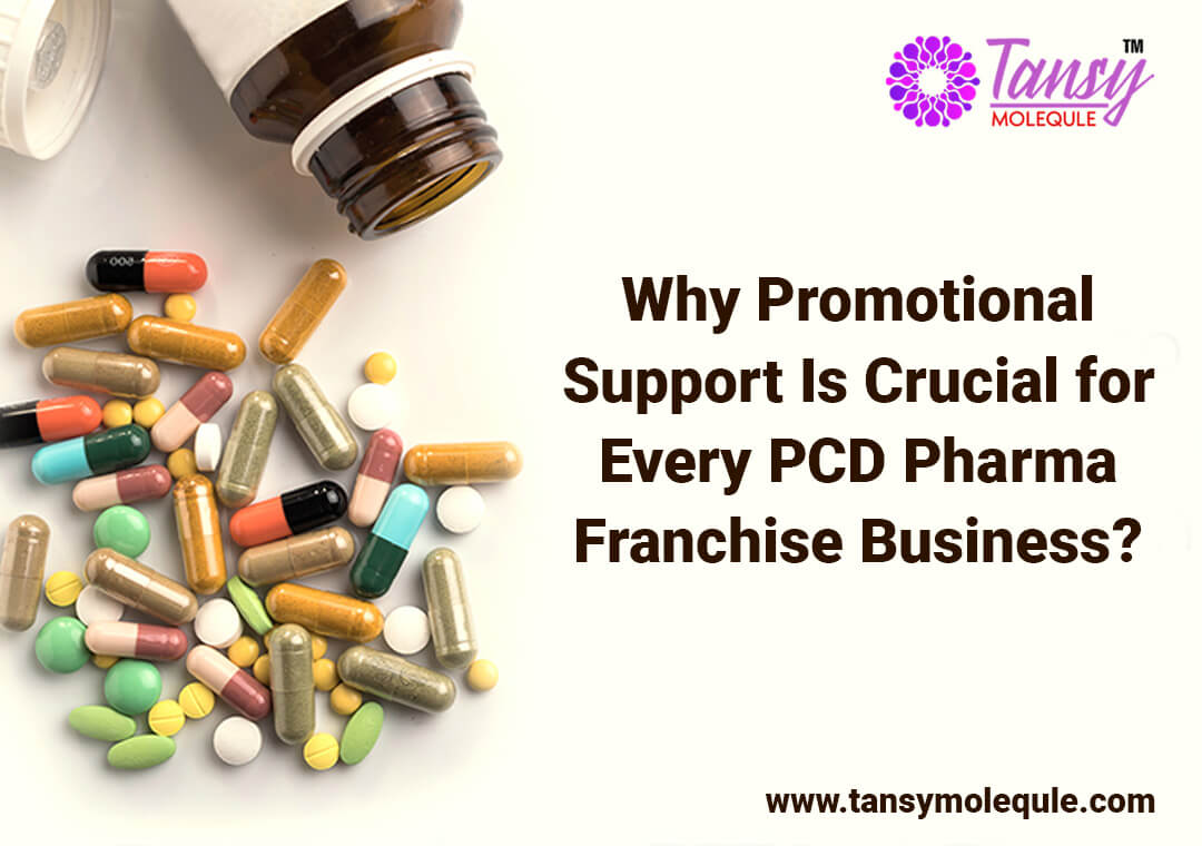 Why Promotional Support Is Crucial for Every PCD Pharma Franchise Business