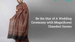 Be the Star of A Wedding Ceremony with Magnificent Chanderi Sarees