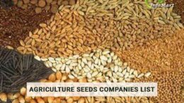 Agriculture Seeds Manufacturers Companies List