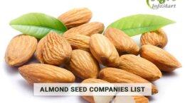 Supreme Quality almond seeds Manufacturers, Suppliers, Exporters Companies List From India