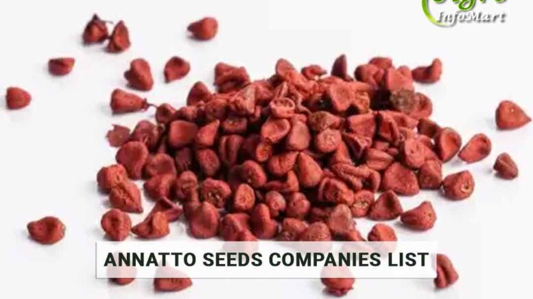 Annatto Seeds Manufacturers Companies List In India