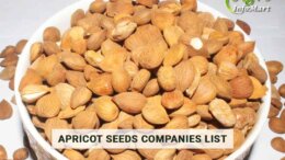 Great Quality Of apricot seeds Manufacturers ,Suppliers Companies In India