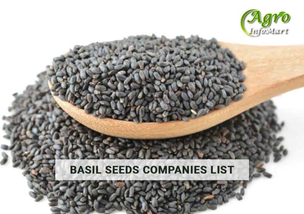 Basil Seeds Manufacturers companies List