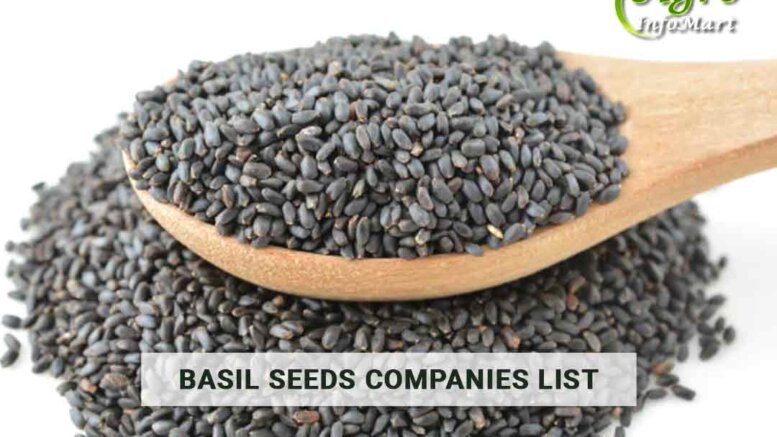 Basil Seeds Manufacturers companies List