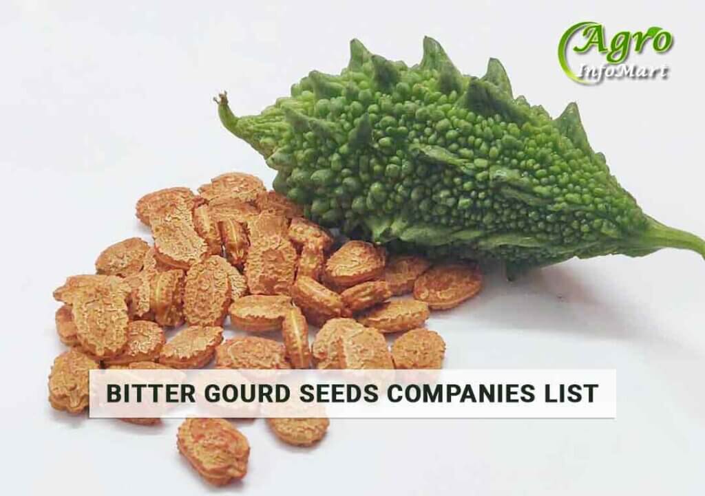 Bitter Gourd Seeds manufacturers Companies List In India