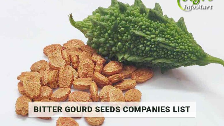 Bitter Gourd Seeds manufacturers Companies List In India