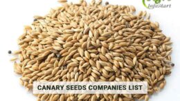 Canary Seeds Manufacturers Companies List In India