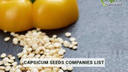 Capsicum Seeds Manufacturers Companies List in India
