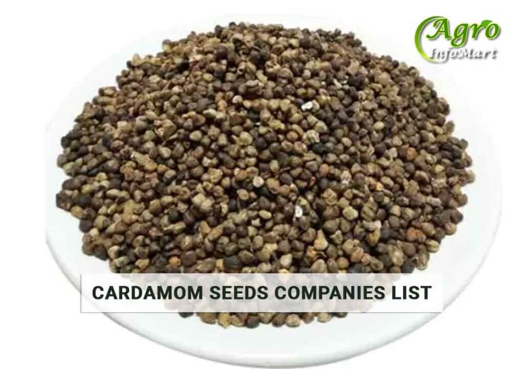 Cardamom Seeds Manufacturers Companies List in India