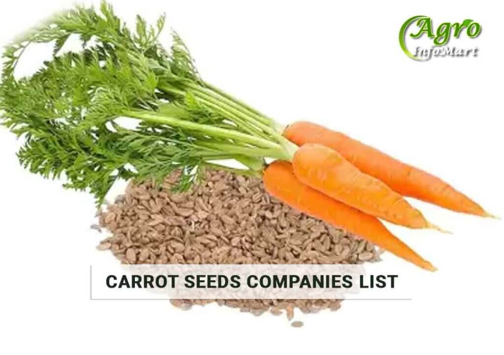 Carrot Seeds Manufacturers companies List