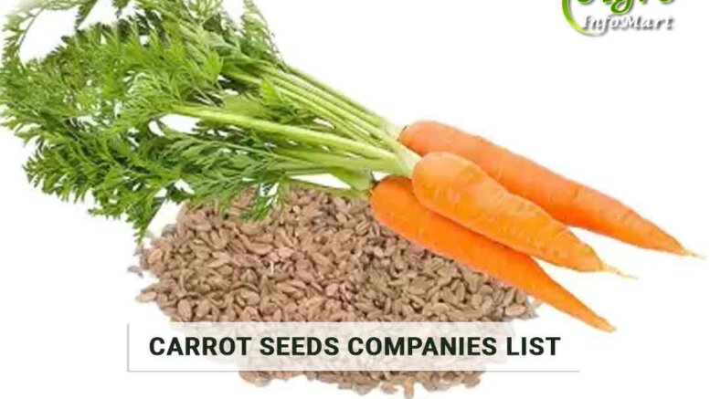 Carrot Seeds Manufacturers companies List