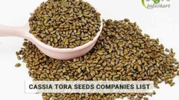 Cassia Tora Seeds Manufacturers companies List In India