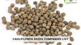 Cauliflower Seeds Manufacturers Companies List in Inida