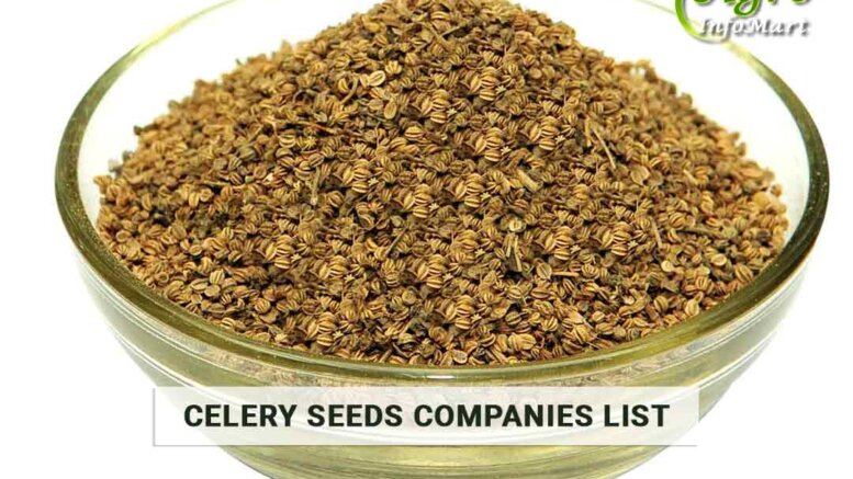 Celery Seeds Manufacturers Companies List In India