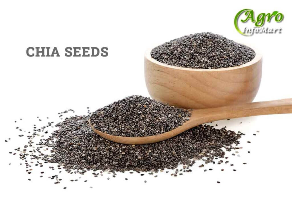 Chia Seeds Manufacturers Companies List In India