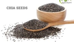 Chia Seeds Manufacturers Companies List In India