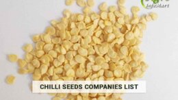 Chilli Seeds Manufacturers Companies in india