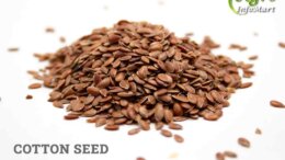 Cotton Seeds Manufacturers Companies List In India
