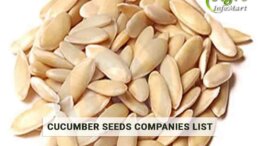Cucumber Seeds Manufacturers Companies List in India