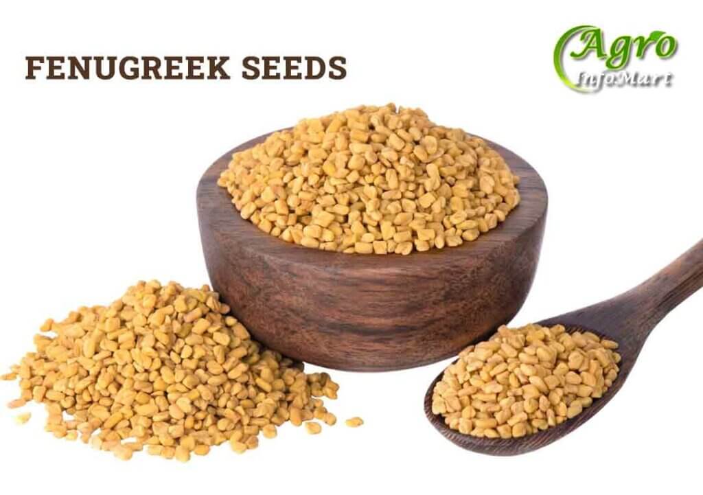  Fenugreek Seeds Manufacturers Companies List in India