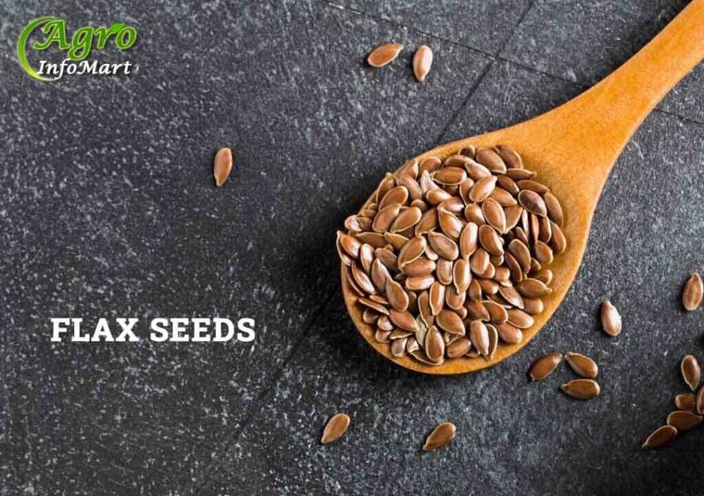 Flax Seeds Manufacturers Companies List In India