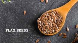 Flax Seeds Manufacturers Companies List In India