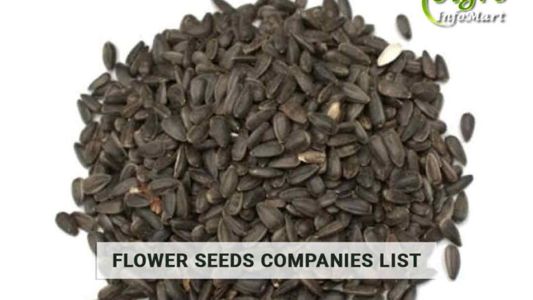 Flower Seeds Seeds Manufacturers, Wholesaler ,Exporters, And suppliers Companies List in India