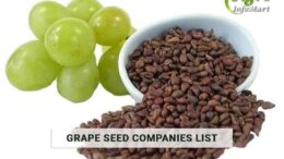 Grape Seeds Manufacturers Companies List in india