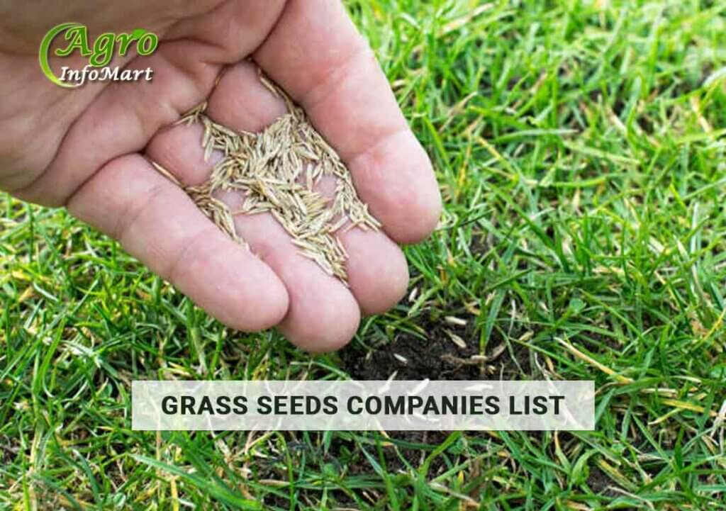 Grass Seeds Manufacturers companies List In India