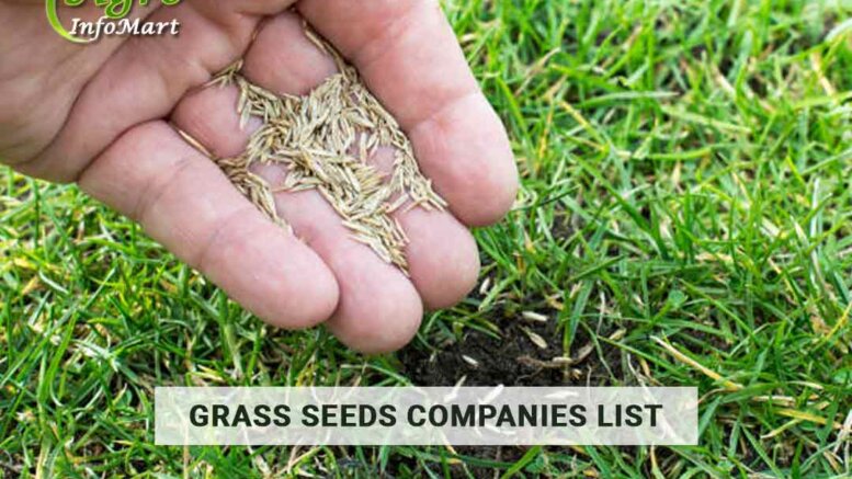 Grass Seeds Manufacturers companies List In India