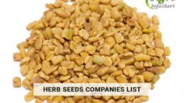 Herb Seeds Manufacturers Companies List in inida