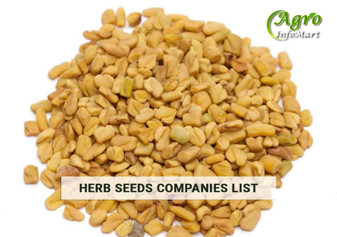 Herb Seeds Manufacturers Companies List in inida