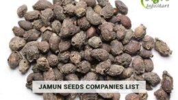 Excellent Quality Jamun Seeds Manufacturers Companies List in India