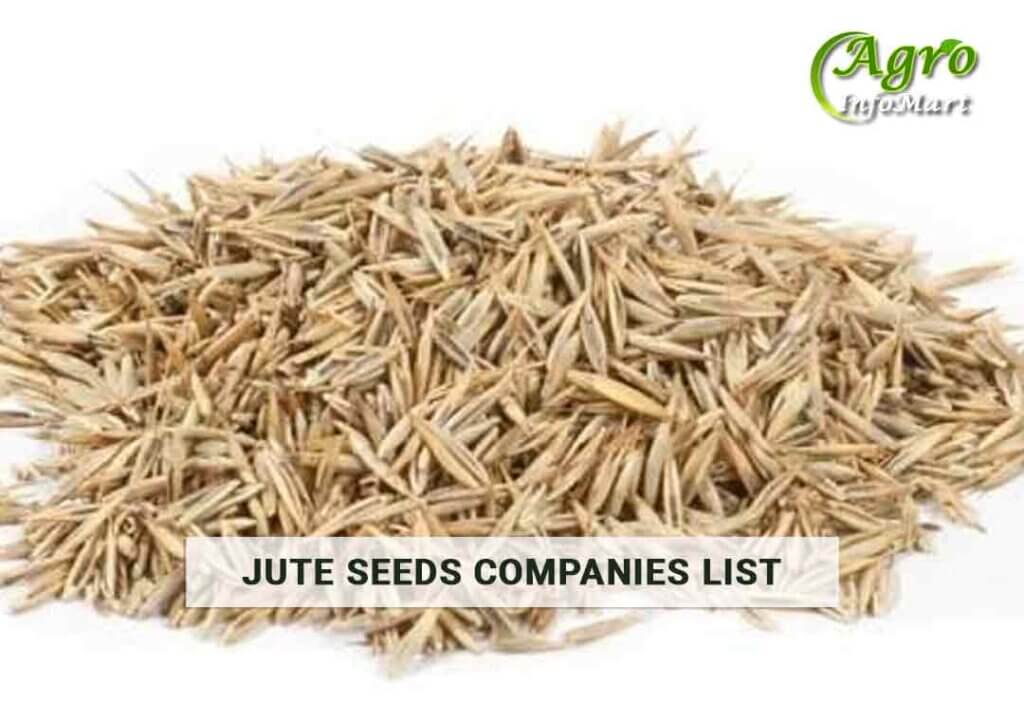 Top Notch Quality jute seeds Manufacturers, Wholesaler, Exporters Companies List In India