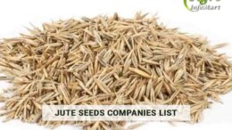 Top Notch Quality jute seeds Manufacturers, Wholesaler, Exporters Companies List In India