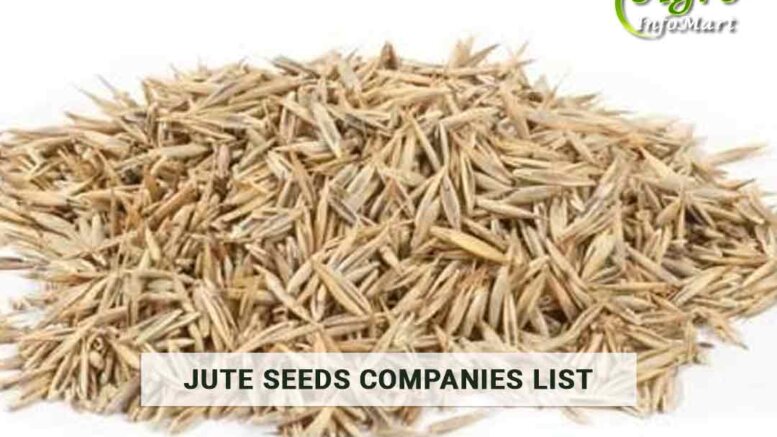 Top Notch Quality jute seeds Manufacturers, Wholesaler, Exporters Companies List In India