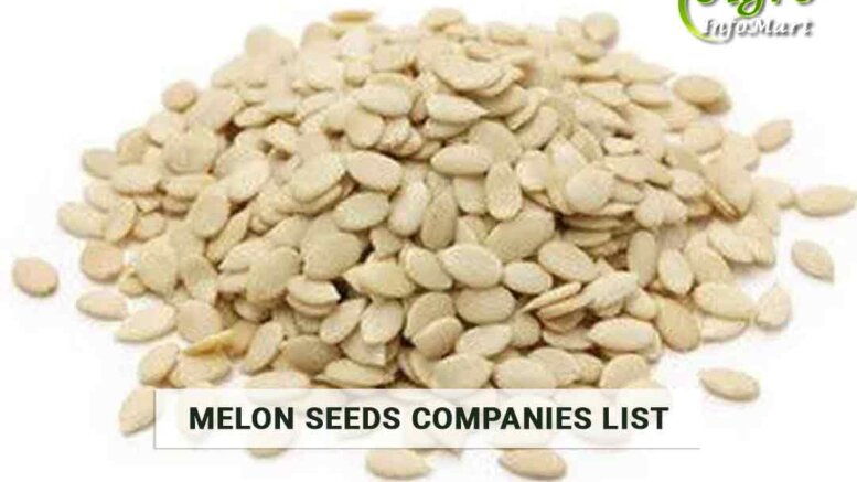 Melon Seeds Manufacturers Companies list In India