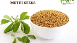 Methi Seeds Manufacturers Companies List India