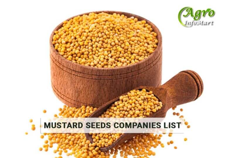 Good Quality Of Mustard Seeds Manufacturers Companies List
