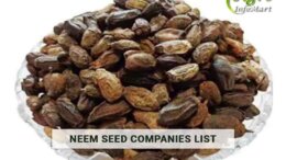 Neem Seeds Manufacturers companies List