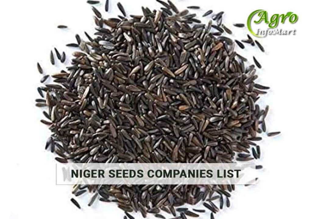 India's Top Niger Seeds Manufacturers Companies