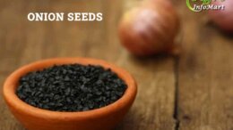 Onion Seeds Manufacturers Companies List in India