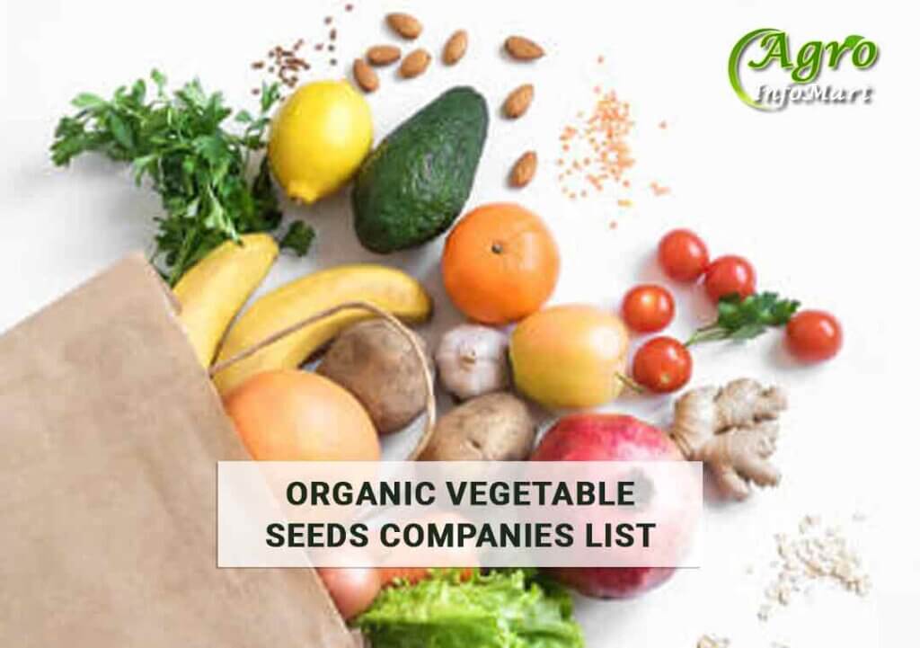Great Quality organic vegetable seeds Manufacturer, Suppliers Companies List From India