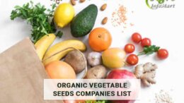 Great Quality organic vegetable seeds Manufacturer, Suppliers Companies List From India