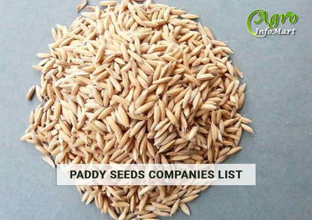 Paddy Seeds Manufacturers Wholesalers, Exporters Companies List In India
