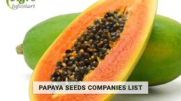 Papaya Seeds Manufacturers Companies List In India